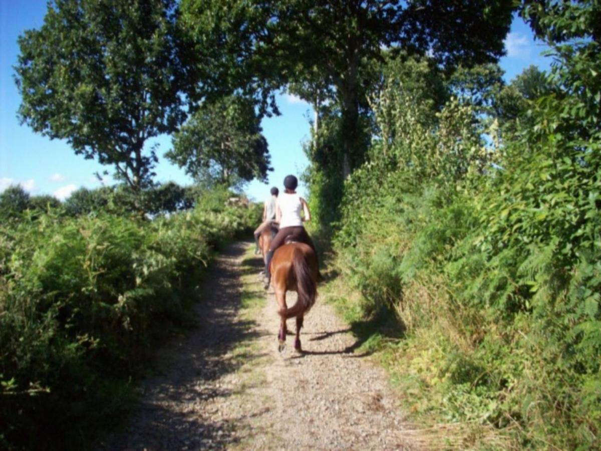 Cosy Chalet With Private Garden In Normandy Isigny-le-Buat Rom bilde